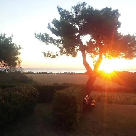 La Nel Prato Sul Mare 別荘 San Costanzo